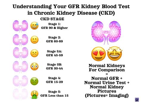 blood test for kidney health